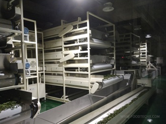 Fully Automatic Black Tea Production Line