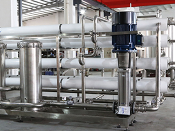 25 T/H Single‑pass RO Water‑treatment System