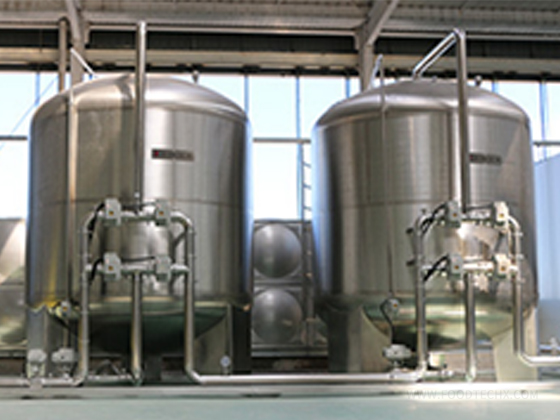 25 T/H Single‑pass RO Water‑treatment System