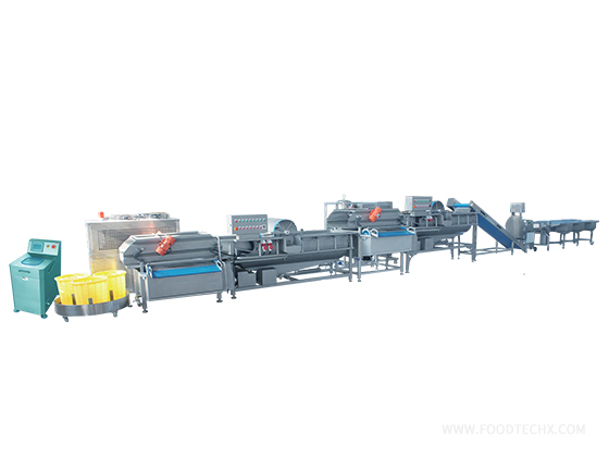 Leaf‑vegetable Washing Processing Line